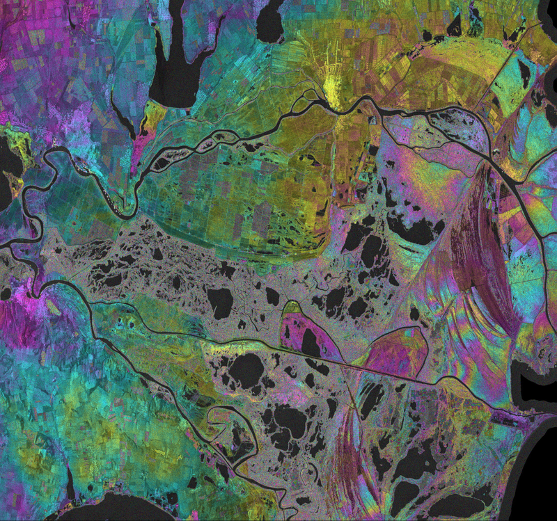 Illustration for article titled The Danube Delta Looks Gorgeous Through Radar Eyes From Space